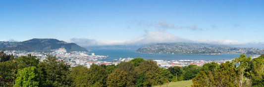 Otago Bay panorama