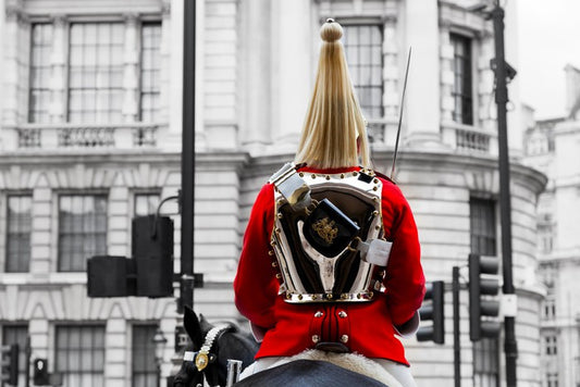 The Royal Horse Guard