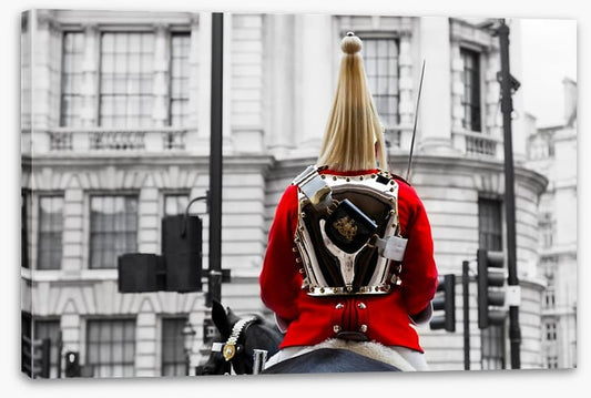 The Royal Horse Guard