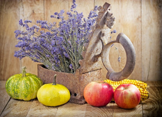 Lavender harvest