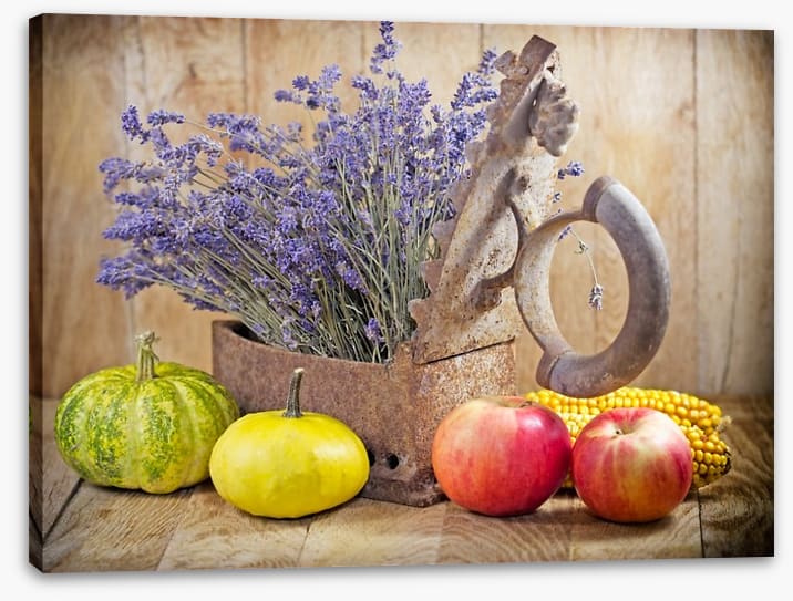 Lavender harvest