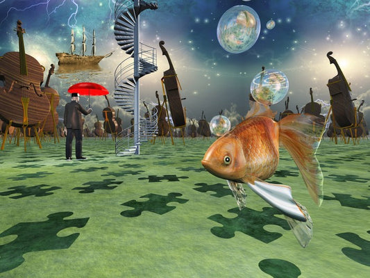 The puzzling goldfish