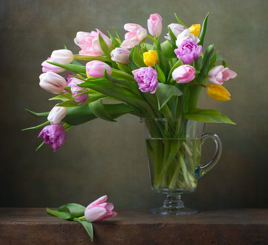 Still Life
