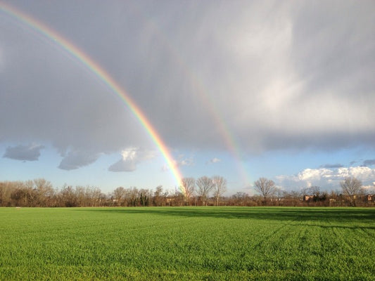 Rainbows