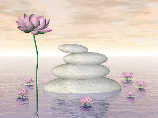 Pink lily zen