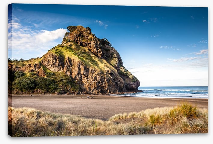 Piha Beach peace