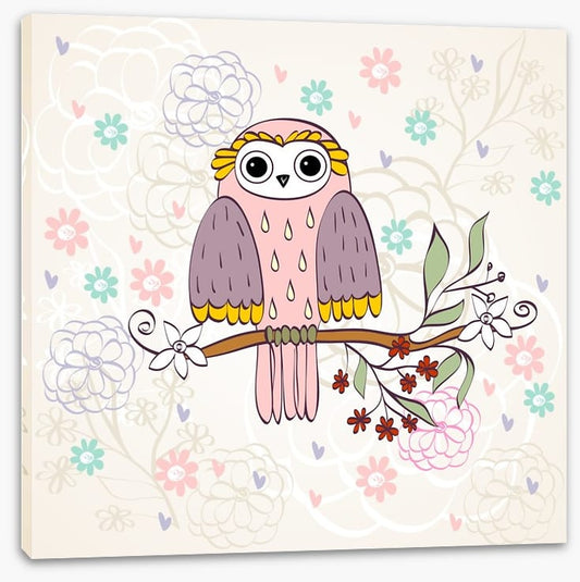 Owls