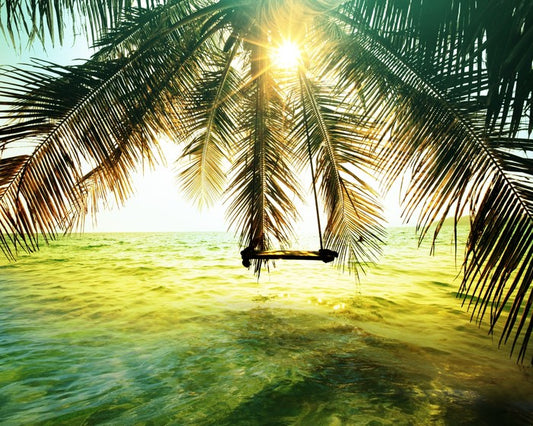 Palm tree swing