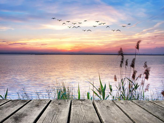 Across the sunset lake