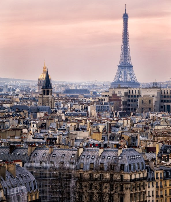The rooftops of Paris