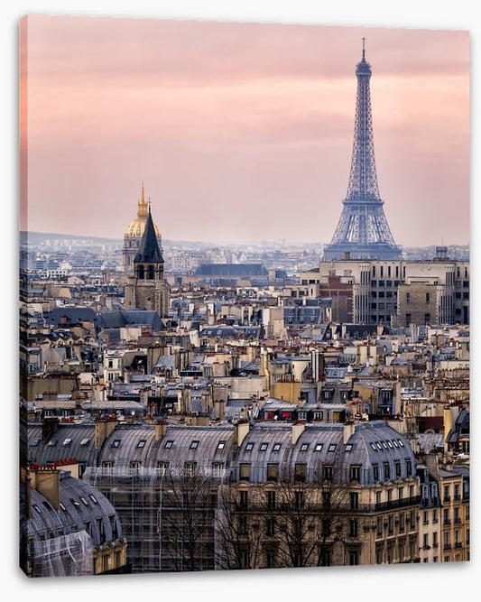 The rooftops of Paris
