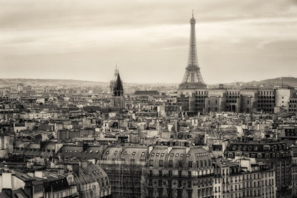 The rooftops of Paris
