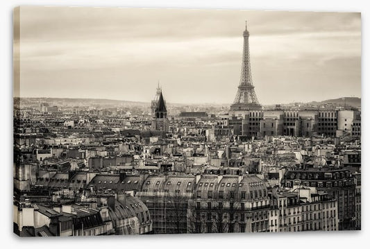 The rooftops of Paris
