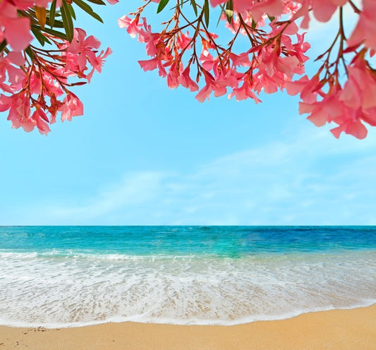 Oleanders on the beach