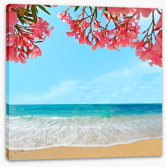 Oleanders on the beach