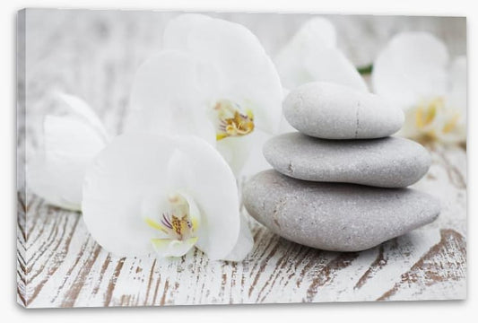 Purity