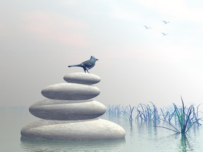 Bird of peace