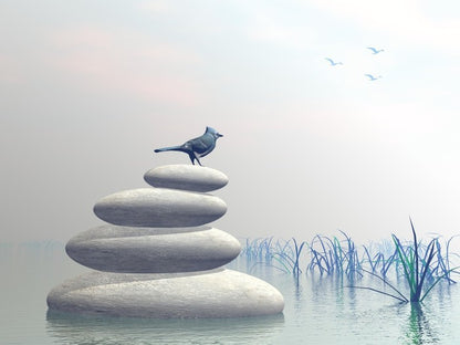 Bird of peace