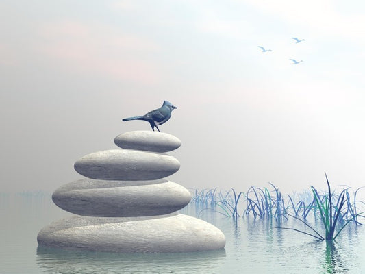 Bird of peace