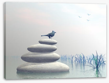Bird of peace