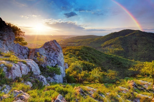 Rainbows
