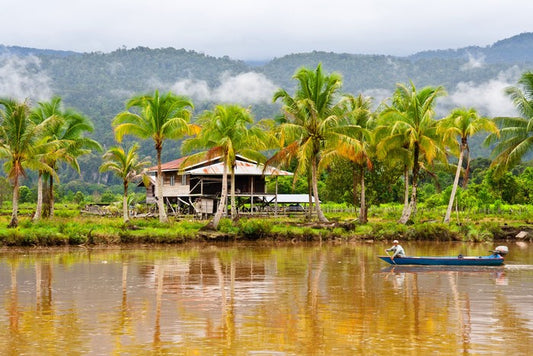 Boating in Borneo