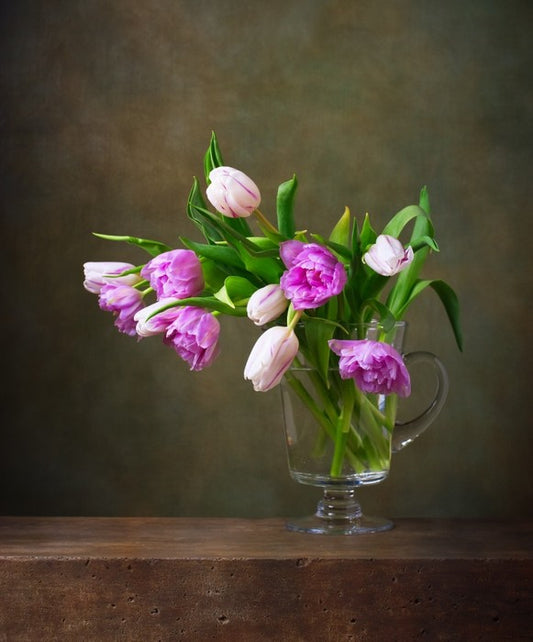 Still Life