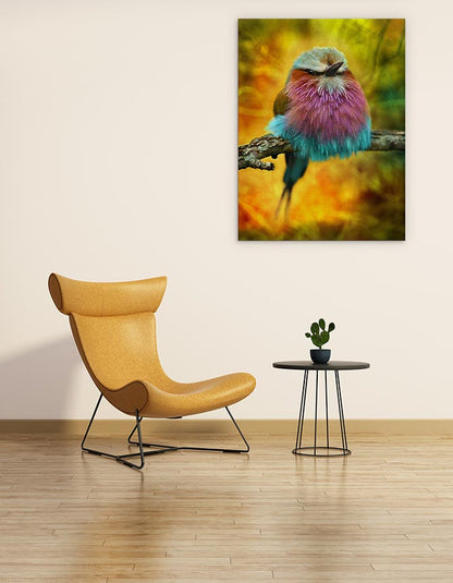 Lilac breasted roller bird