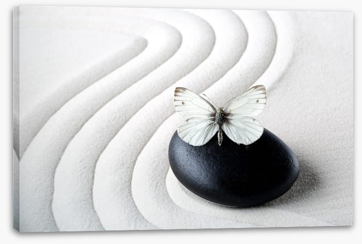 Purity
