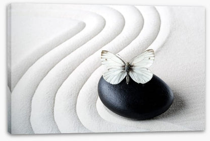 Purity