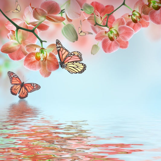 Butterfly zen