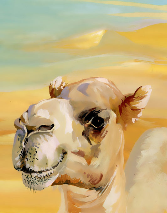 Over the hump