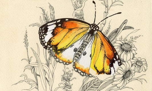 Vintage butterfly