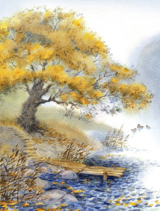 Old tree by the river