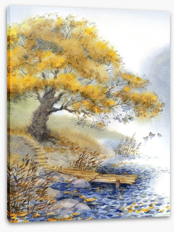 Old tree by the river