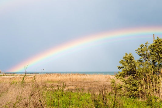 Rainbows