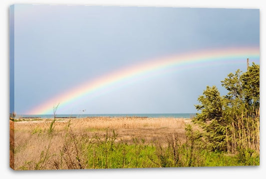 Rainbows