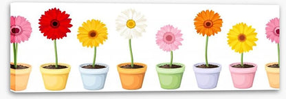 Gerbera pots