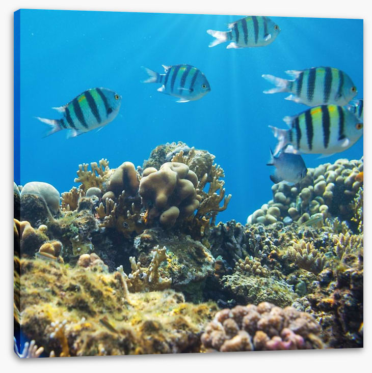 Underwater