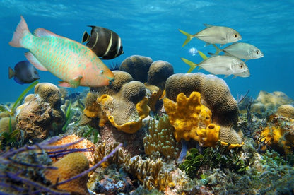Underwater