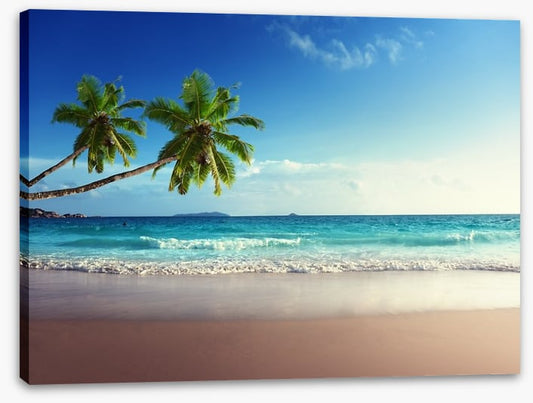 Coconut beach