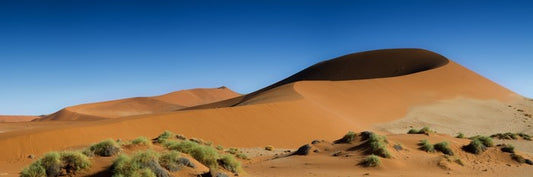 Desert