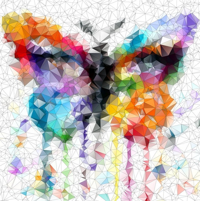 Geometric butterfly