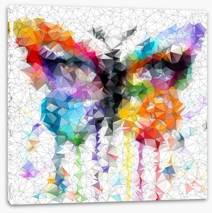 Geometric butterfly