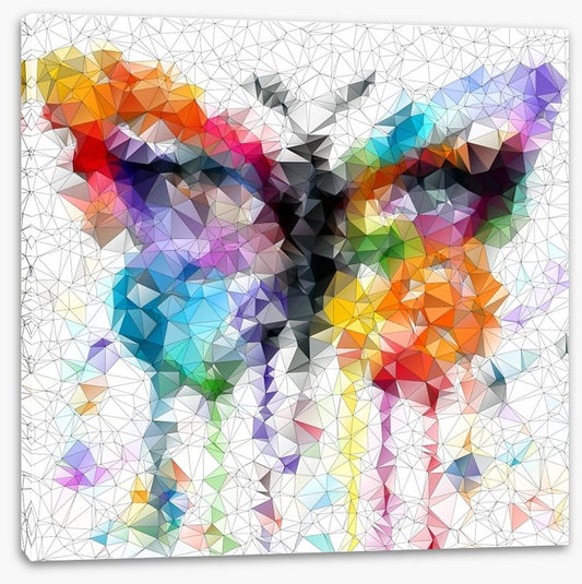 Geometric butterfly