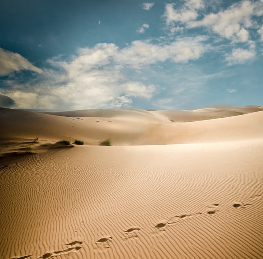 Desert
