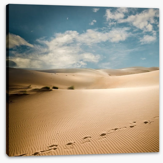 Desert
