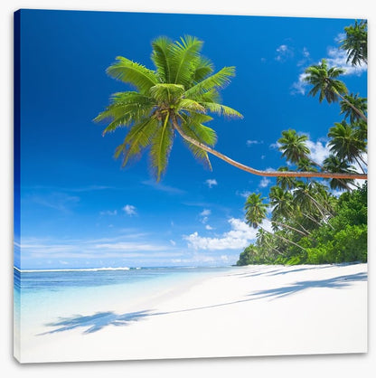 Coconut cove