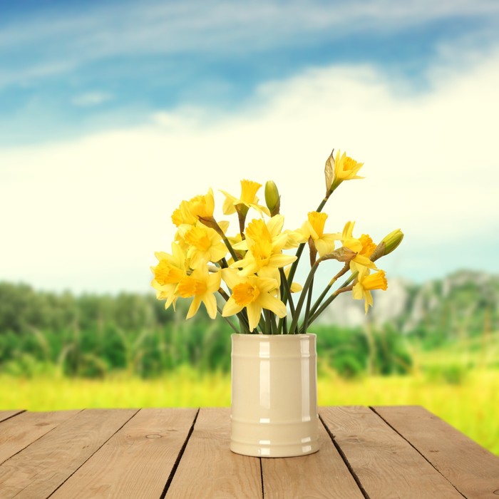 Yellow daffodils