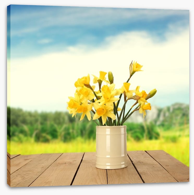 Yellow daffodils